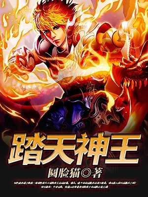 踏天神王章节列表