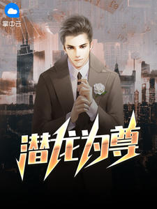 陈庆之苏晚盈章节列表