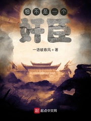 怕不是一个奸臣章节列表