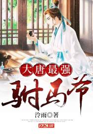 大唐最强驸马爷章节列表