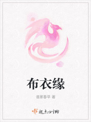 布衣缘章节列表