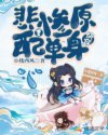 快穿：悲惨原配要单身章节列表