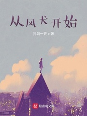 从风犬开始章节列表