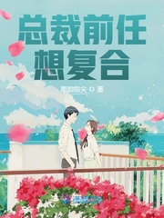 总裁前任想复合章节列表