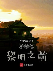穿越在黎明之前章节列表