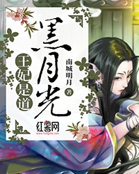 王妃是道黑月光章节列表