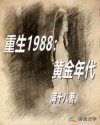 重生1988：黄金年代章节列表