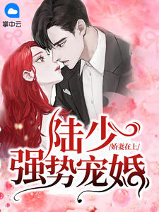 娇妻在上：陆少强势宠婚夏颜兮陆霆琛章节列表