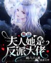 衡总，夫人她是反派大佬章节列表