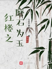 红楼之磨石为玉章节列表