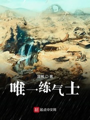 唯一练气士章节列表