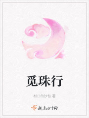 觅珠行章节列表