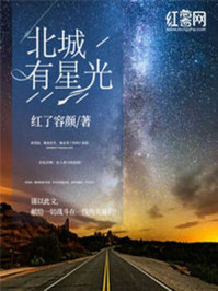 北城有星光章节列表