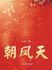 朝凤天章节列表