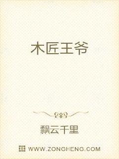 木匠王爷章节列表