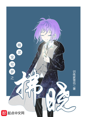 精灵宝可梦之拂晓章节列表