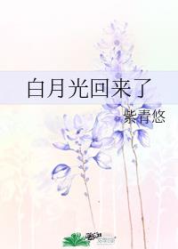 白月光回来了章节列表