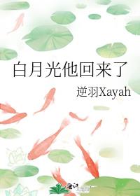 白月光他回来了章节列表