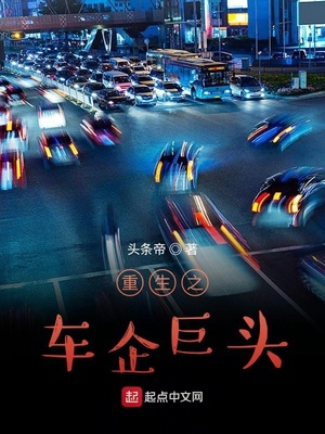 重生之车企巨头章节列表