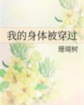 我的身体被穿过章节列表