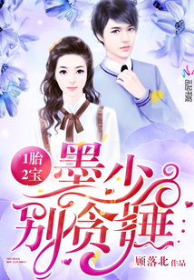 1胎2宝：墨少，别贪睡章节列表