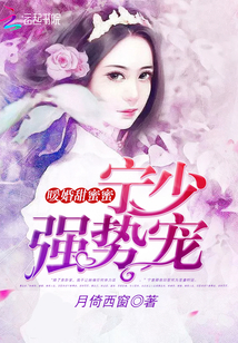 暖婚甜蜜蜜：宁少，强势宠章节列表