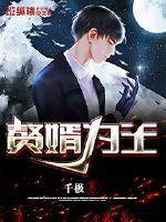 赘婿为王苏飞沈冰燕章节列表