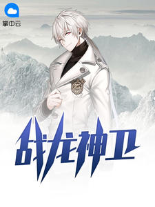 战龙神卫章节列表