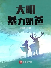 大明奶爸李斌章节列表