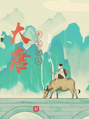 大唐手工达人章节列表