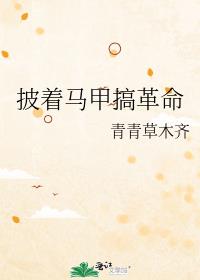 披着马甲搞革命章节列表