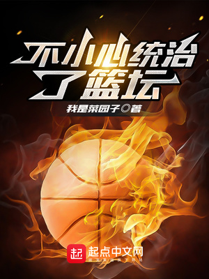 不小心统治了篮坛章节列表