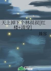 天上掉下个林叔叔[红楼+清穿]章节列表