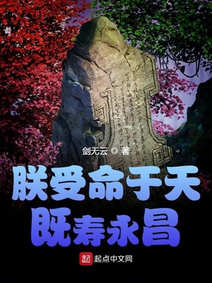 朕受命于天，既寿永昌章节列表