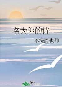 名为你的诗章节列表