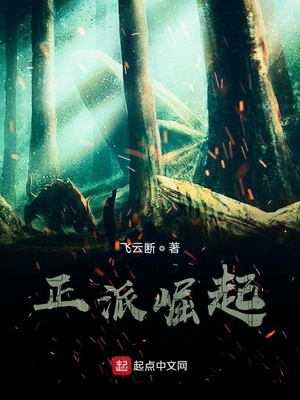 正派崛起章节列表