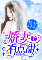 傅少心尖宠：娇妻，有点甜！章节列表