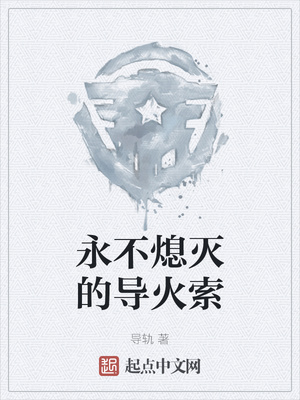 永不熄灭的导火索章节列表