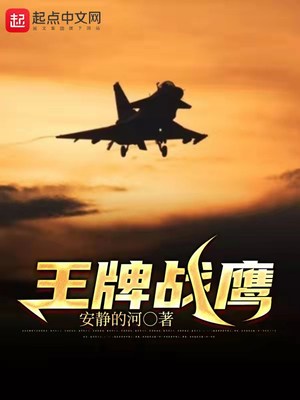 王牌战鹰章节列表
