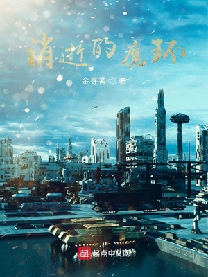 消逝的魔环章节列表