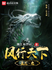 盘龙之风行天下章节列表