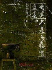 盗墓：我真不是乌鸦嘴章节列表