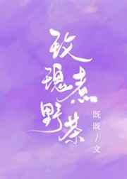 玫瑰煮野茶章节列表