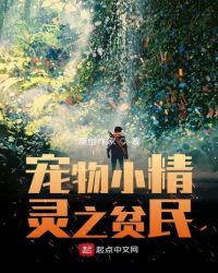 宠物小精灵之贫民章节列表