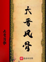 大晋风骨章节列表