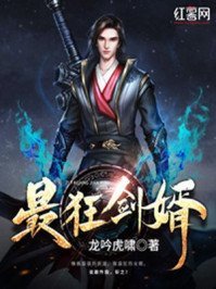 最狂剑婿章节列表