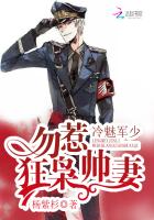 冷魅军少：勿惹狂枭帅妻章节列表
