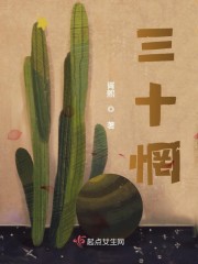 三十惘章节列表