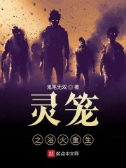 灵笼之浴火重生章节列表