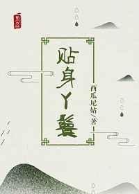 贴身丫鬟章节列表